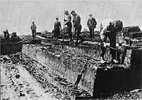 Peatdiggers
